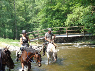Vorschau Kaskaden-Trail Vorschau Kaskaden-Trail