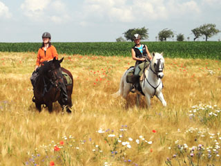 Vorschau Vogtland-Sternritte Vorschau Vogtland-Sternritte