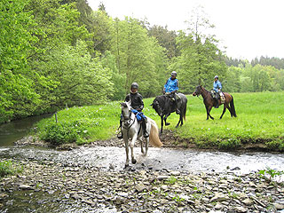 Vorschau Geländeritt Vorschau Geländeritt