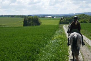 Vorschau Andalusier-Trail Vorschau Andalusier-Trail